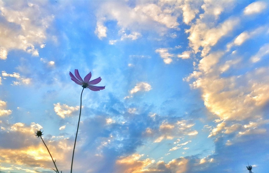 6c7bb0a0-57bf-4eb3-8b6f-906bdd2e786b.jpg